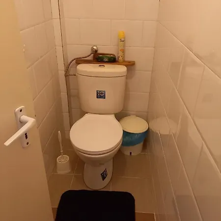 Triniti Vendeghaz Gasthuis *