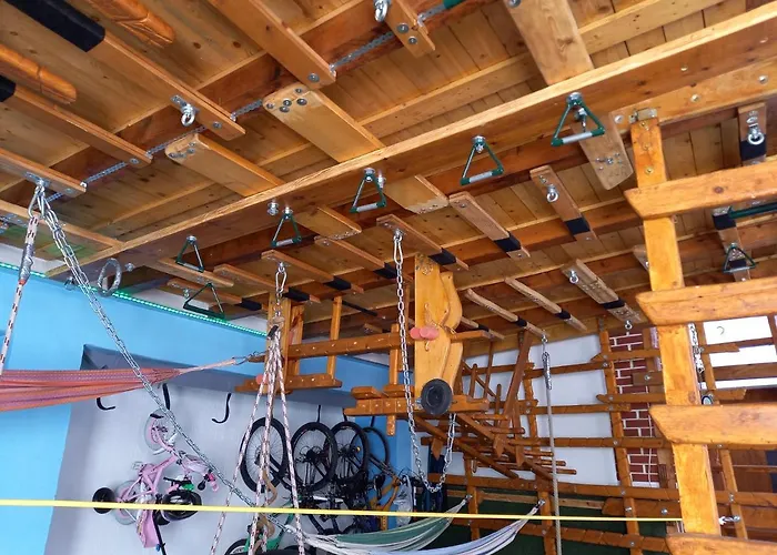 Triniti Vendeghaz Eger